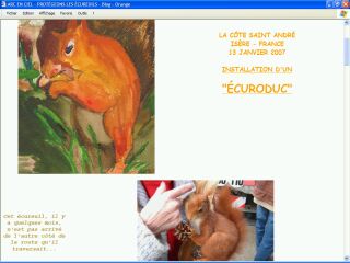 Animaux - Mammif�res - ARC EN CIEL - Prot�geons les �cureuils
