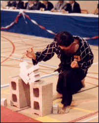 master sang woo kim - Sport - Combat sports - tea-kwon-do