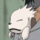 Akamaru,Kiba's canine .. Cinema, tv - Fantasy, Fiction - 