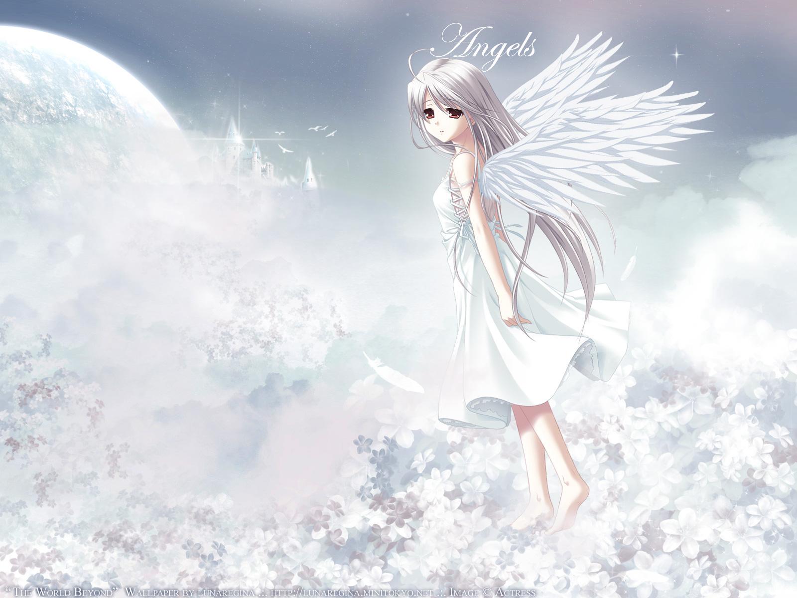 how butiful dont u think ... i love.. Cinema, tv - Cartoons - Hinata_chan ^^