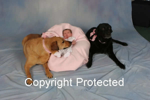 What a cute baby don't you think sa.. Animals - Dogs, Cats - hey everyone theres alot...