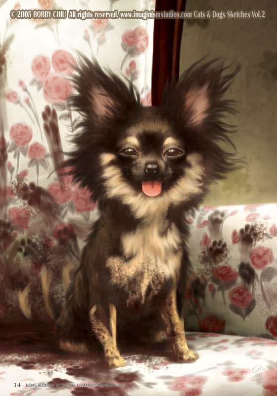 this is one of my bad hair days - Animals - Dogs, Cats - hey everyone theres alot...