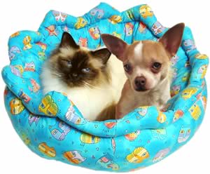 What?! what am i doing with you nas.. Animals - Dogs, Cats - hey everyone theres alot...