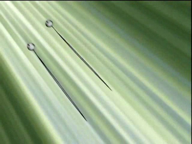These are special sound needles tha.. Cinema, tv - Fantasy, Fiction - Naruto3