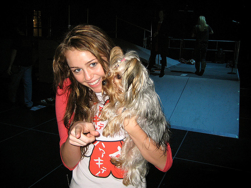 MILEY NICE PUP ITS ADO.. Cinema, tv - 