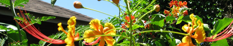 -ISLAS DE LA BAHIA-[.. Honduras - Turismo - 