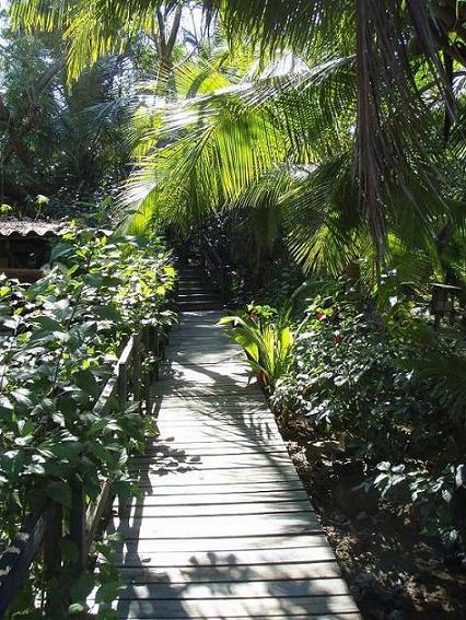 The property Looking.. Honduras - Turismo - 