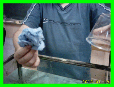 LE MOUCHOIR RESSORT BI.. Sciences - Sciences de la Terre - 