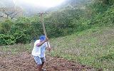 Il y a, encore, l'agriculteur mania.. Villes et Villages - Case-Pilote : Village de...