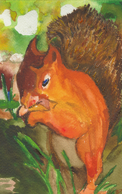  Animaux - Mammif�res - 
