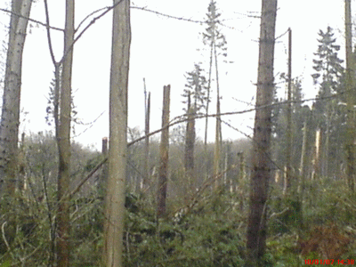  Climat, M�t�o - 