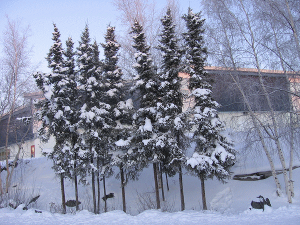  Canada - Climat, M�t�o - 