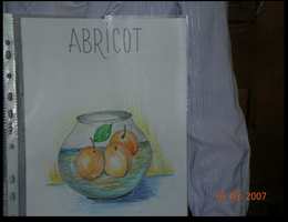  Soci�t� - Education, Ecoles - 