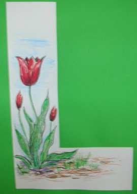  Soci�t� - Education, Ecoles - 