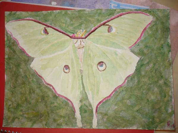 Et une autre aquarelle.. Loisirs - Art - 