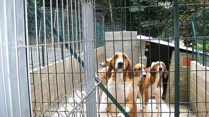 A notre tour d'�tre re.. France - Villes et Villages - 