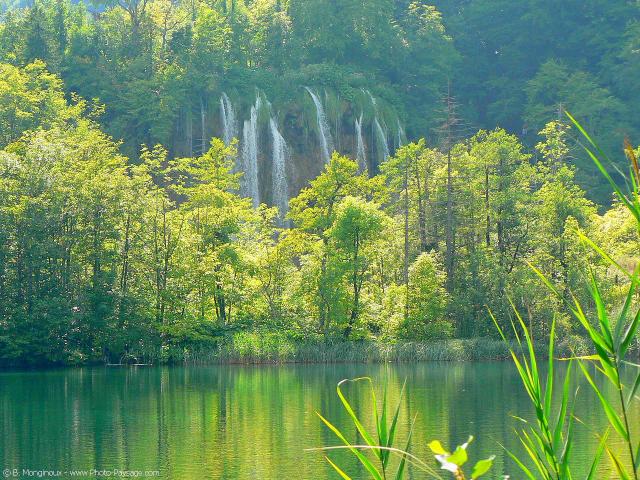 La pollution boulevers.. France - Faune, Flore - 