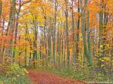 Penser au habitant nat.. France - Faune, Flore - 