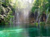 Conserv� notre belle p.. France - Faune, Flore - 