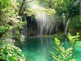 La Terre est une plan�.. France - Faune, Flore - 