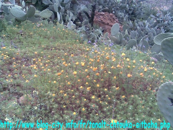  Maroc - Tourisme - 