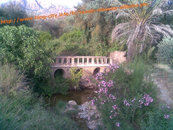  Maroc - Tourisme - 