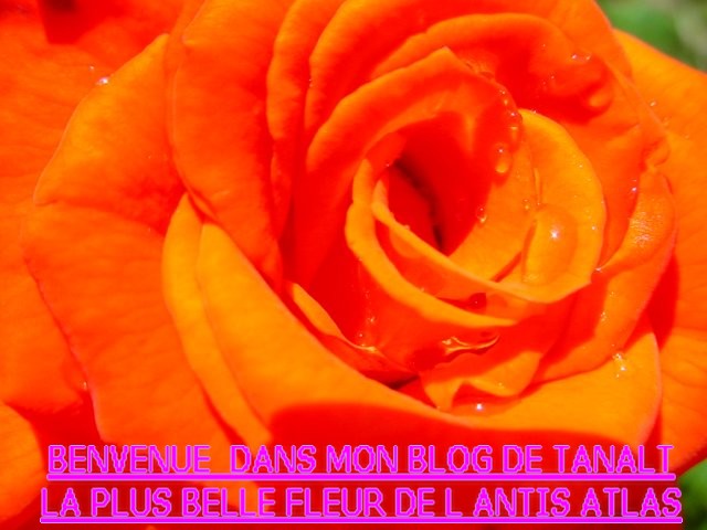      BIENVENUE A TOUS .. Maroc - Tourisme - 